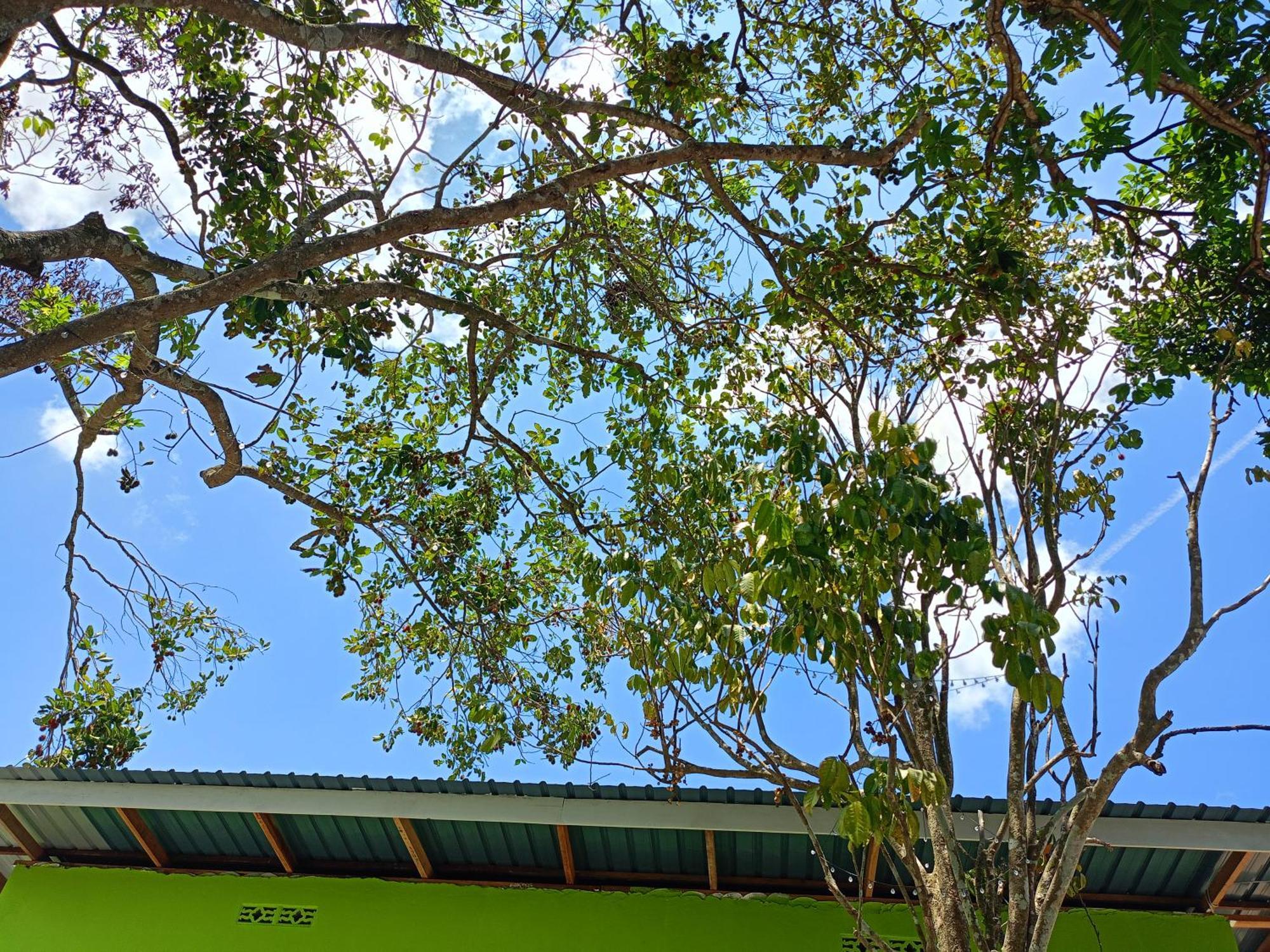 One Mek Studio Bachok Esterno foto